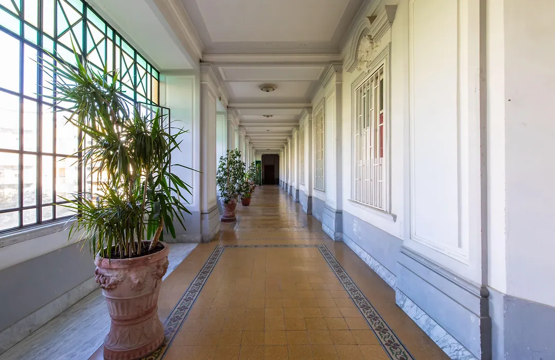 Belvedere Bonito-1